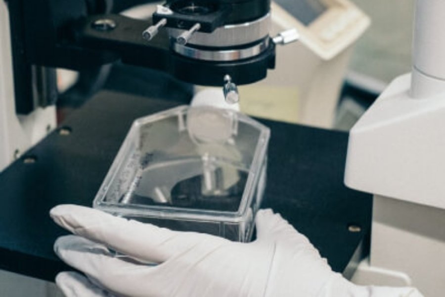 DTI Implant Systems Scientific Laboratory